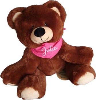 Teddybär zur Geburt mit Namen