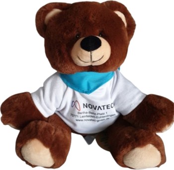 Teddy Logo Tshirt