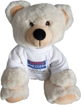 Teddy Logo Tshirt